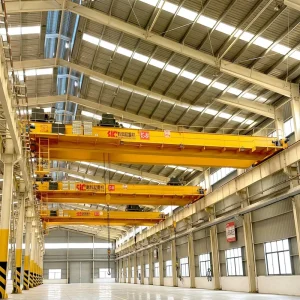 10 Ton 20 Ton 30 Ton Double Beam Electric Overhead Traveling Crane 100 Ton for Factory Handling
