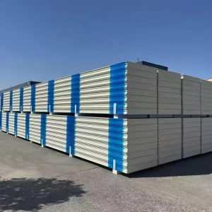 100mm Polyurethane Sandwich Panels Cold Room Panels Color Steel for Freezer Cold Storage Wall and Roof