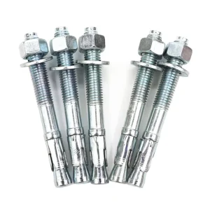 304 316 Stainless Steel Wedge Anchor Expansion Anchor Bolt Anchor Bolts