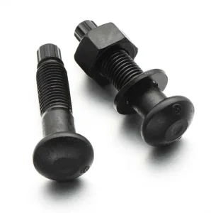 A325 Steel Structure Torsional Shear Type High Strength Bolt