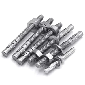 Anchor Bolts M19 Stainless Steel Bolt M12 Expansion Bolt Concrete Anchor