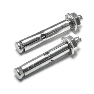 Anchor Bolts M6 M8 M10 Concrete Stainless Steel Expansion Wedge Anchor Bolt