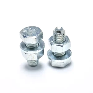 Anti Corrosion Electropolished Stainless Steel Hex Bolt & Nut Packs Food Grade Fasteners for Processing Machinery