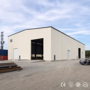 Anti-Rust Steel Truss Structure Building for Gym Use, Waterproof, South America