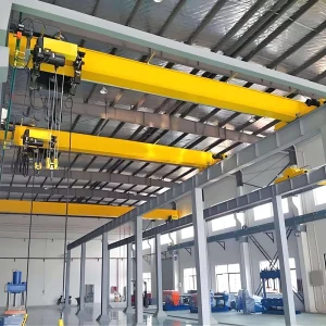 CE Certified FEM Standard European Type Single Girder Overhead Crane Motor Gear 20m Lifting Height Ground Remote Control