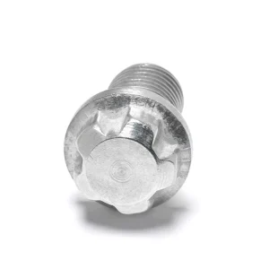 Carbon Steel Hex Flange Head Bolt Hot Dip Galvanized for Construction Scaffolding and Formwork System
