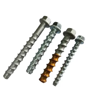 Carbon Steel Stainless Steel Concrete Anchor Bolts Hexagonal Head Screws Anchors Masonry Screw