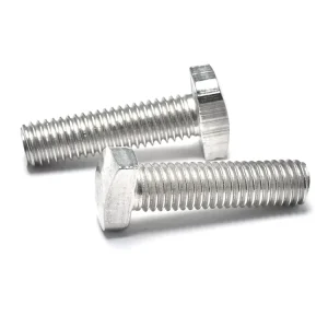 Carbon Steel T Bolt with Square Head for Industrial Support and Rail Mounting