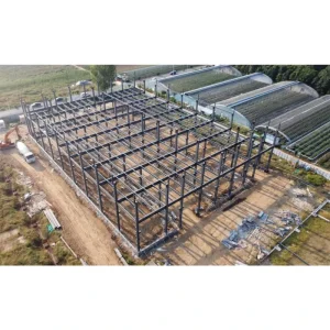 Chinese Industrial Economical Steel Structure Workshop Fabrication H Beam Steel Frame Building With Customizable