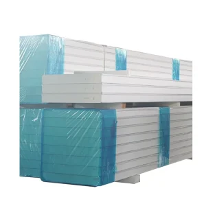 Cold Room PU Insulation Sandwich Panel Thermal Insulation Roof Panel for Fruit Vegetable Chiller Storage Room
