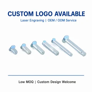 Custom Non-Standard Screws Bolts Fasteners OEM ODM Carbon Steel Stainless Steel Zinc Plated Black Oxide Machinery Auto Parts