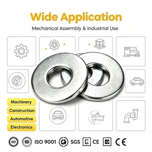 Custom Non Standard Stainless Steel Flat Washers DIN125 DIN9021 M1.6 M160 Plain Washer Fasteners OEM Factory Direct Supply