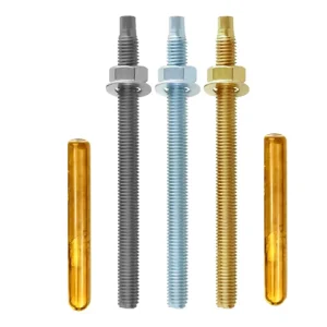 Custom Size Chemical Anchor Bolt M6 M8 M10 M12 M24 High Strength Capsule Chemical Stud for Building Structural Heavy Load Fixing
