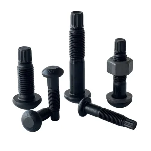Customized High Strength Steel Structure Bolts Torsional Shear Bolts Round Head Bolts for Construction