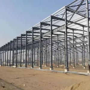 Customized Steel Structure Carport with Waterproof Roofing