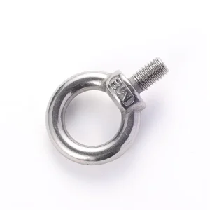 DIN582 Stainless Steel 304 316 Lifting Eye Nut M6 M8 M10 M12 Forged Round Ring Shape Eye Nuts