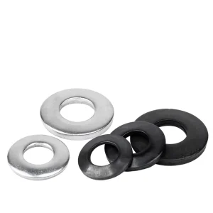 DIN6796 DIN2093 A2 A4 Inox M6 M8 M10 Conical Belleville Disc Spring Washers