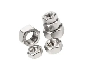 DIN934 Stainless Steel Plain Hdg SS304 Hex Nut