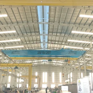 Double Beam EOT Bridge Crane Fem2m M5 Work Duty Remote Control High Capacity for Cement Plant