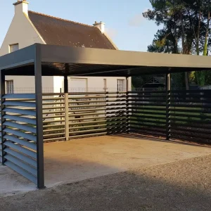 Durable High Quality New Weatherproof and Secure Metal Carport with Strong Accessory