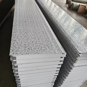 EPS Insulated Sandwich Panel Waterproof Wall Sandwich Panel For Cleanroom Warehouse Cold Room