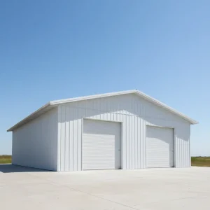 Easy Assemble Low Cost Modern Prefab Steel Structure Warehouse Workshop Building for Mall & Hospital Use
