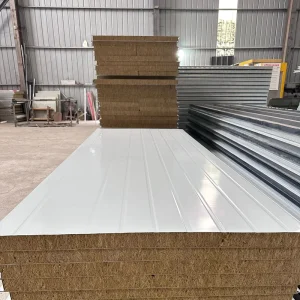 Eco Friendly Color Steel Plate Fireproof Panels for Partition Walls Cold Room Exterior Wall Insulation