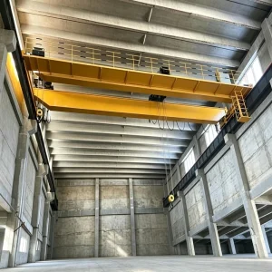 Electric Hoist Double Girder Overhead Crane for Assembly Work in Factory Workshop with Remote Control of Customizable Span