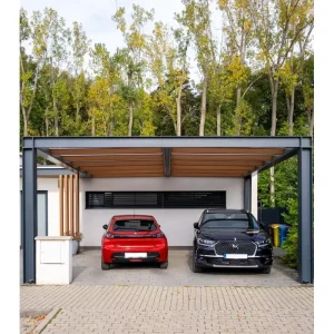 Exquisite Refined Outline Robust Assembly Artistic Balance Modern High Cost Performance Ultimate Carport