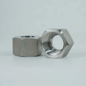 Factory Direct Supply High Strength Stainless Steel Zinc Plated Mobile Nut M3 M64 Marine Use Outdoor Structures Anti Nut Forged