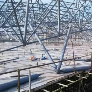 Factory Direct Supply Light Weight Steel Space Frame Trusses Structure in Steel Structure