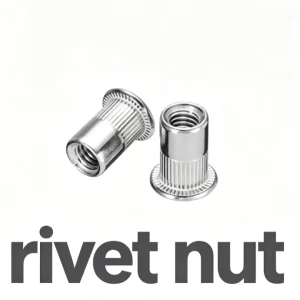 Factory M6/M8 Rivet Nut Zinc Plated Rivet Nuts for Automotive & Furniture
