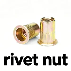 Factory M6/M8 Rivet Nut Zinc Plated Rivet Nuts for Automotive & Furniture