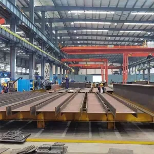 Fast Delivery Modular Steel Portal Frame for Agricultural Farm and Barn Construction