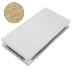 GMP Certified Fireproof Soundproof Rock Wool Sandwich Panel for Cleanroom Project
