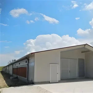 Galvanized Steel Light Steel Structure Building with Welding & Bending for Outdoor Backyard Farm Garden