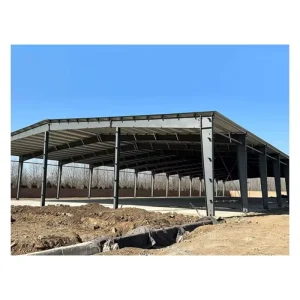 Hangar Métallique Pour Marché Couvert Grande Portée Ventilation Naturelle Toiture Isolante Thermique