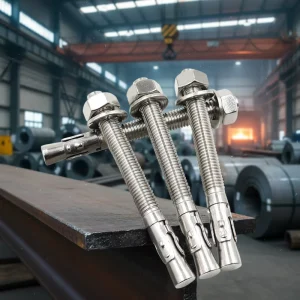 Heavy Duty Galvanized Stainless Steel Anchor Bolt Wedge Anchor Concrete Type