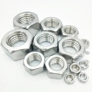High Corrosion Resistance Practical Firm Structure Stainless Steel Hex Nut