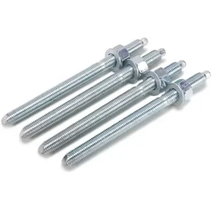 High Corrosion Resistant Standard Metric 304 316 Stainless Steel Silver Extended Wall Anchor Bolts M8 M10