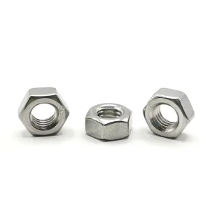High Precision 6H Thread 304 316 Stainless Steel Passivated Polished Finish Corrosion Resistant DIN934 Standard M3-M48 Nut