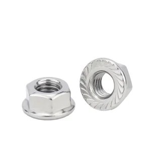High Quality DIN6923 Stainless Steel Hex Flange Nut 201 304 316 Polished Finish