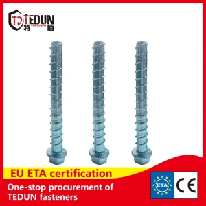 High Strength Electro Galvanized Grade 10.9 Concrete Screw Bolt ETA Certificate M10 Metric Size Self Tapping Fastener Anchor