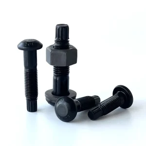 High Strength Grade 10.9 Steel Structure Torsion Shear Bolts