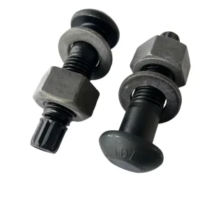 High Strength Steel Structure Torsion and Shear Round Head Bolts Structural Fasteners