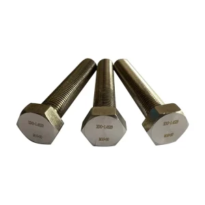 High Strength Structural Heavy Fasteners 1.4529 Stainless Steel (SS) Hex Bolt and Nuts