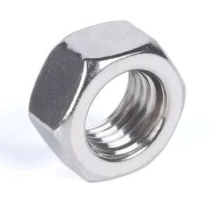 High Tensile DIN934 Stainless Steel 304 316 Metric Hex Nut Customize Available