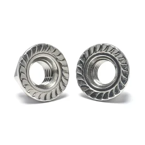 High Tensile SS304 ISO4161 Self Locking M5 M6 M8 M10 Serrated Hexagon Flange Nut for Automotive Engine and Chassis Parts