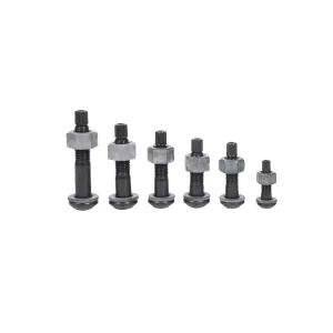 High-strength 10.9S Grade Steel Structure Bolts with Torsion-shear Screws Sizes M12 M16 M18 M20 M22