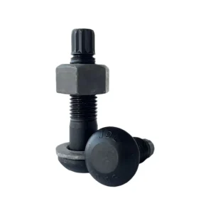 High strength Carbon Steel Grade 10.9 High strength Steel Structure Torsion Shear Bolts